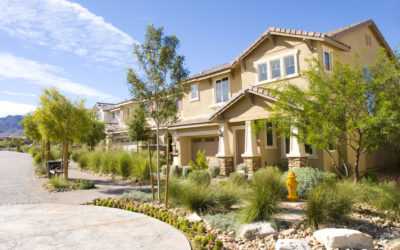 Making Your Landscaping More Sustainable
