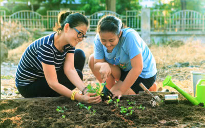 How to Make Your Home More Sustainable, Part 2