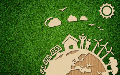 Simple Steps to Reduce Your Environmental Impact