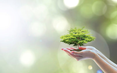 Recycling and Conserving Energy