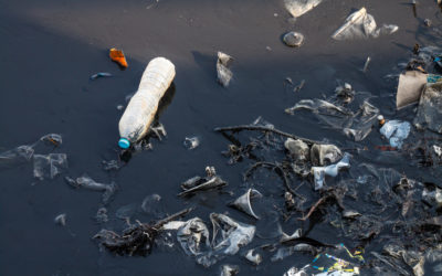 Where does Ocean Pollution Come From?