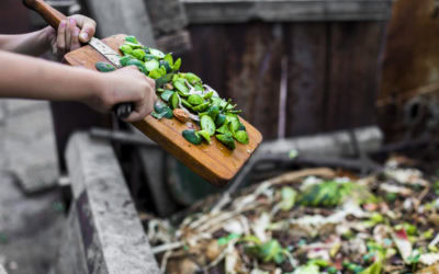 5 Reasons You Should Compost