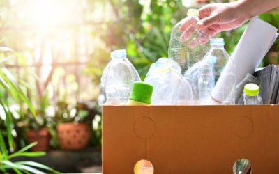 4 Ways to Reuse Plastic Bottles