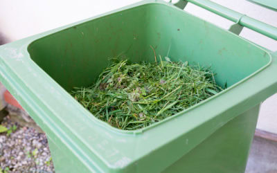 Dealing with Yard Waste