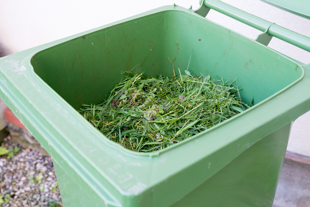grass clippings in trash can