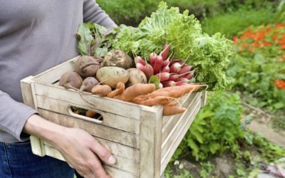 The Easiest Vegetables To Grow In Nevada