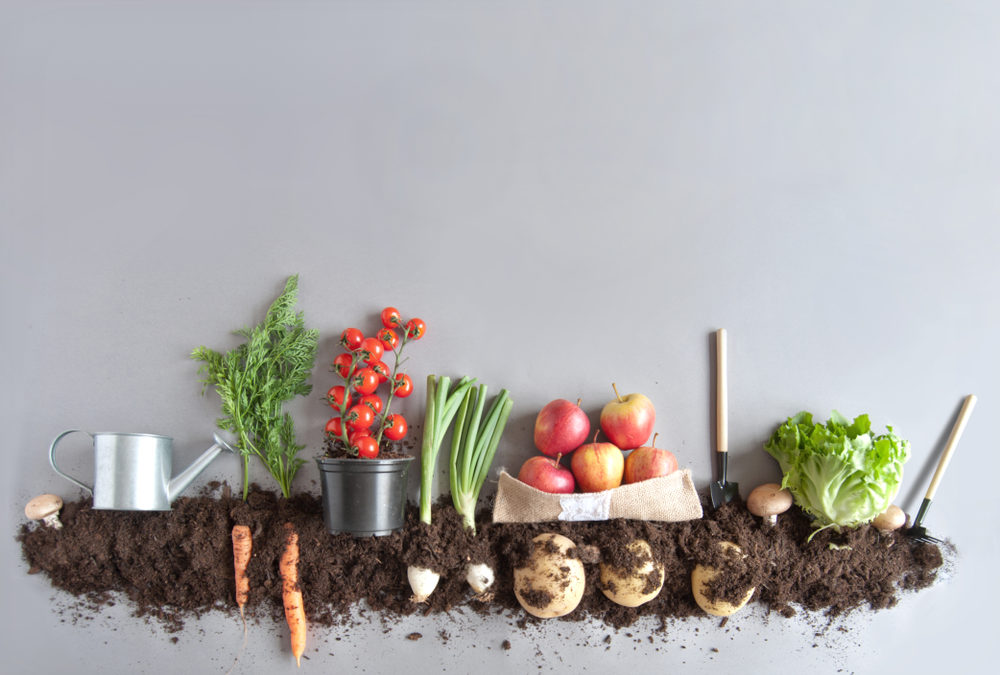 Spring Composting Tips