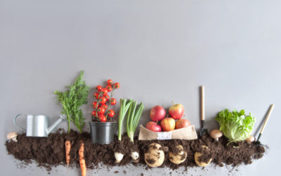 Spring Composting Tips