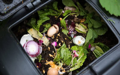 Home Composting Made Easy