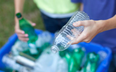 How Western Elite is Helping the Environment