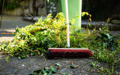 Let’s Talk Trash: Taking Care of Your Green Waste