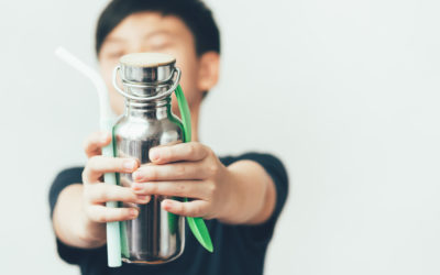 Encouraging Sustainable Habits in Children