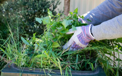 Green Yard Waste Disposal