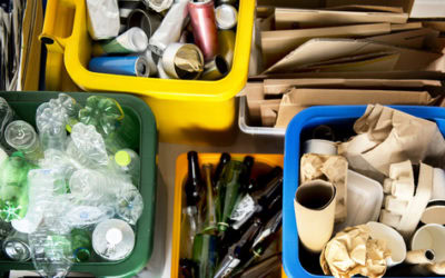 How Western Elite Can Help You Properly Dispose of Your Waste