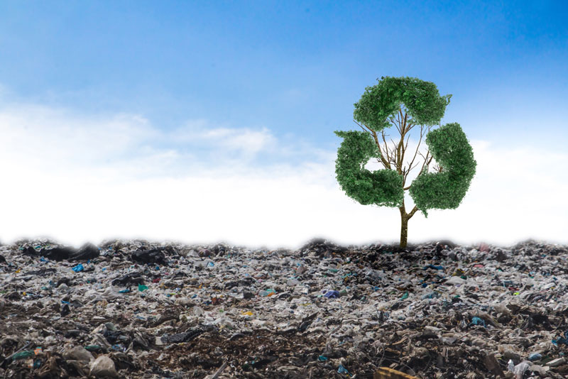 landscape with recycling symbol on a tree