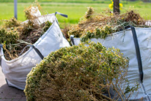 Yard waste in bags ready for disposal