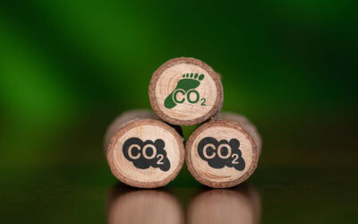 What Is Your Carbon Footprint?