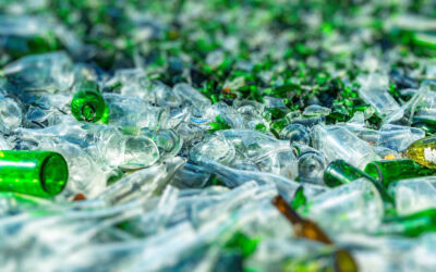 Breaking It Down: Landfills vs Waste