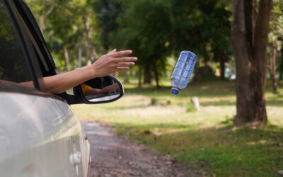 Littering and Its Effects