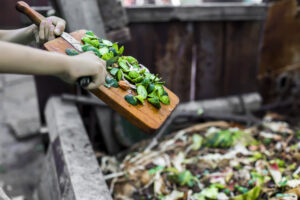 Image depicting food waste in America