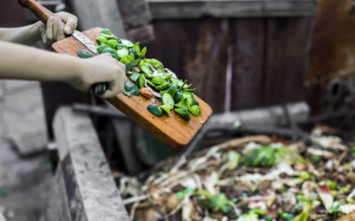 How to Fight Food Waste