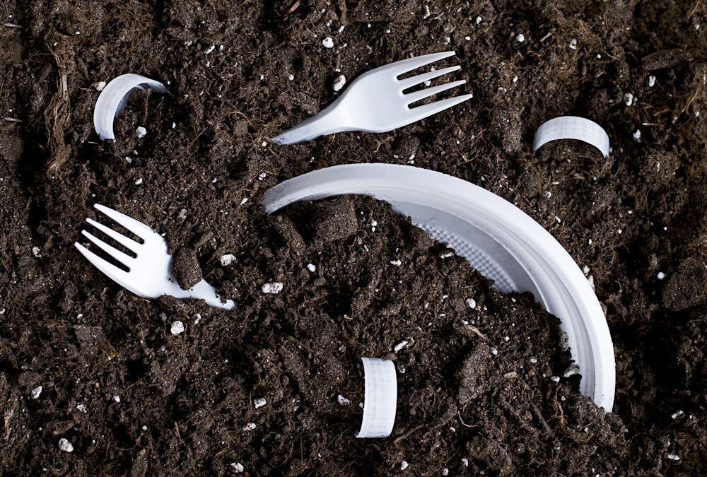 Plastic dishes burried in the soil
