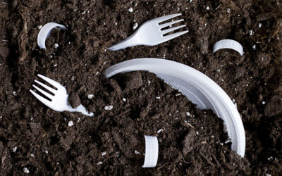 The Science of Decomposition