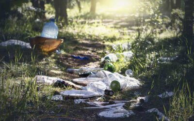 Cleaning Up Our Act: Following the Litter Laws