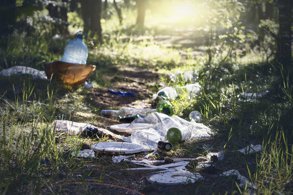 Litter on the ground demonstrating need for proper waste removal