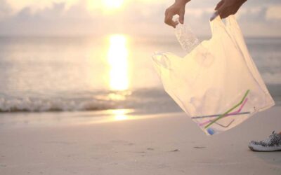 Do We Have a Trash Problem?