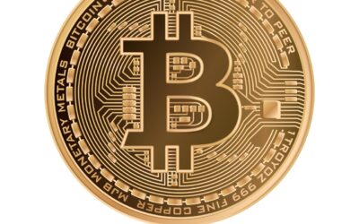 Western Elite Now Accepting Bitcoin Payments