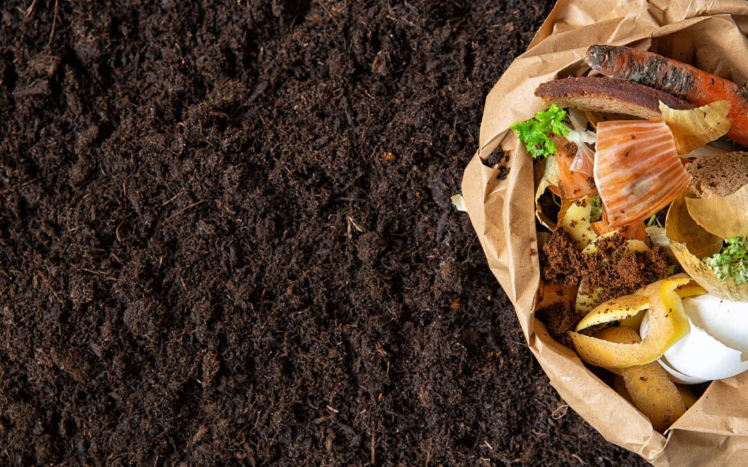 compost bag in soil